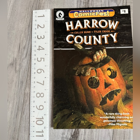 Harrow County #1 Halloween ComicFest Variant Comic Book 2016 Dark Horse - Picture 3 of 7